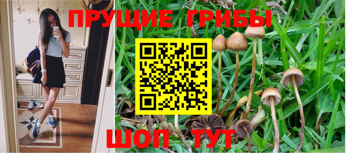 Галлюциногенные грибы Psilocybine cubensis  Галлюциногенные грибы Magic Shrooms  Советская Гавань  Вход с VPN 