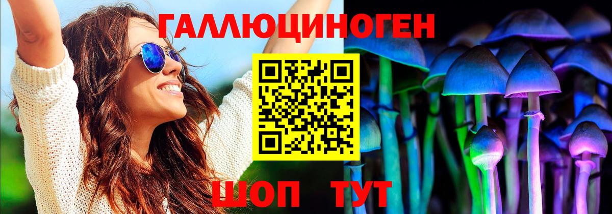 Псилоцибиновые грибы Psilocybe Советская Гавань